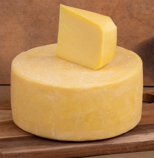 [Maia Cheddar] Cheddar