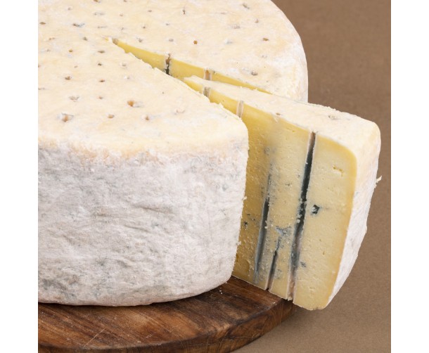 [Maia Queen Blue] Queen Blue