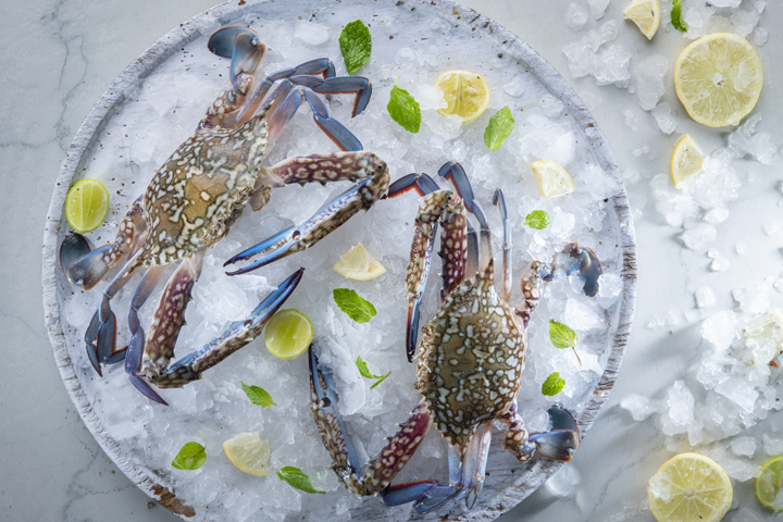 Crab 