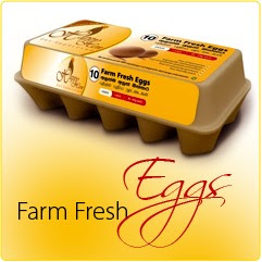Eggs 10 pack
