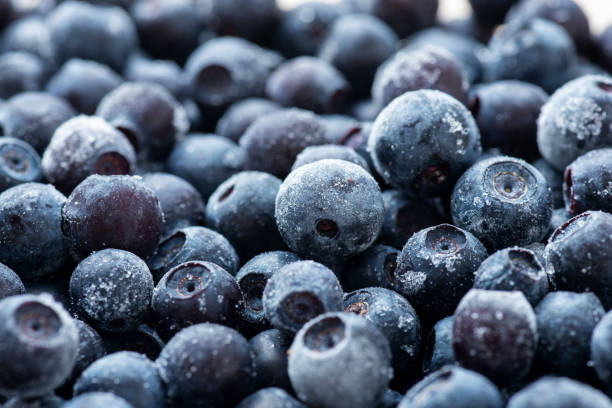 Frozen Blueberry
