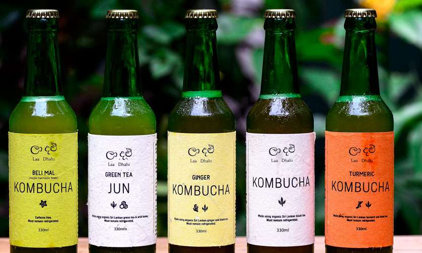  Kombucha