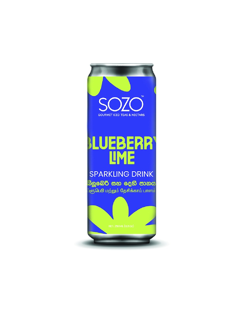Sparkling Soda Flavours Cans (Salted Ginger & Lime Soda 330ml-Can)
