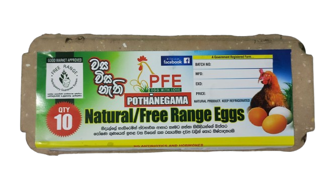 Free Range Egg Pack 
