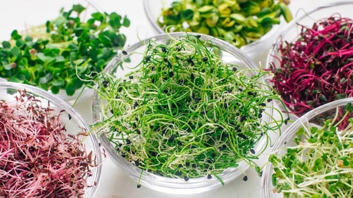 Microgreen
