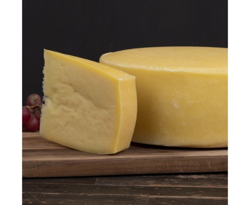 [MaiaJano Block] MaiaJano Block