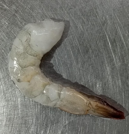 Vannamei Tail On shrimp (21/25)-1kg (Gross weight) 