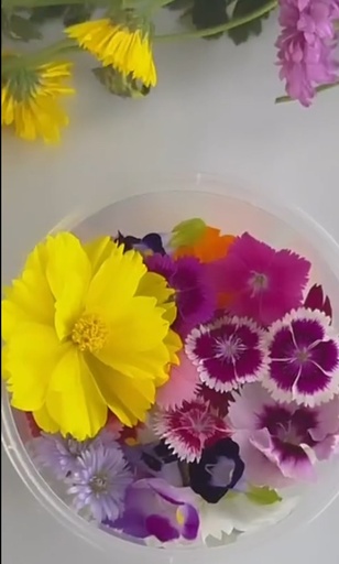 Edible Flowers